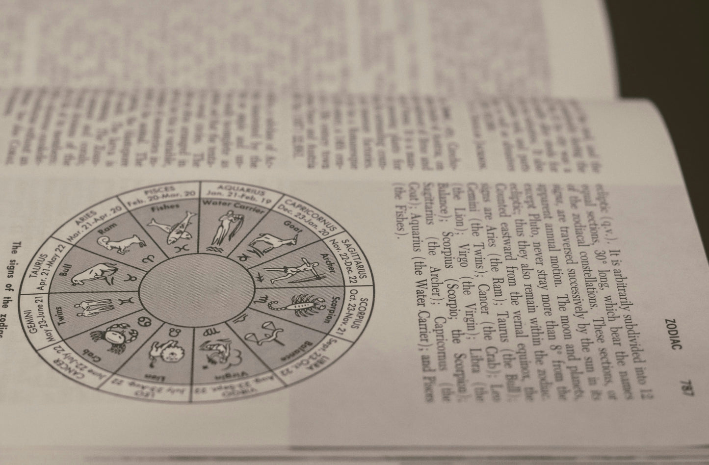 Your Month Ahead Astrology Reading